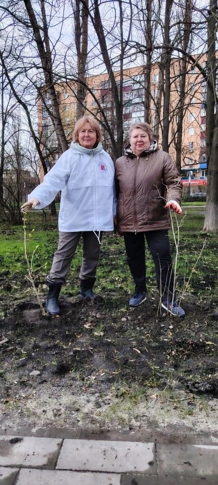 доем сирень