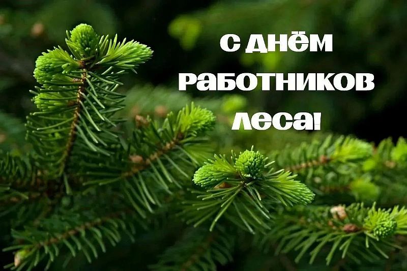 лес