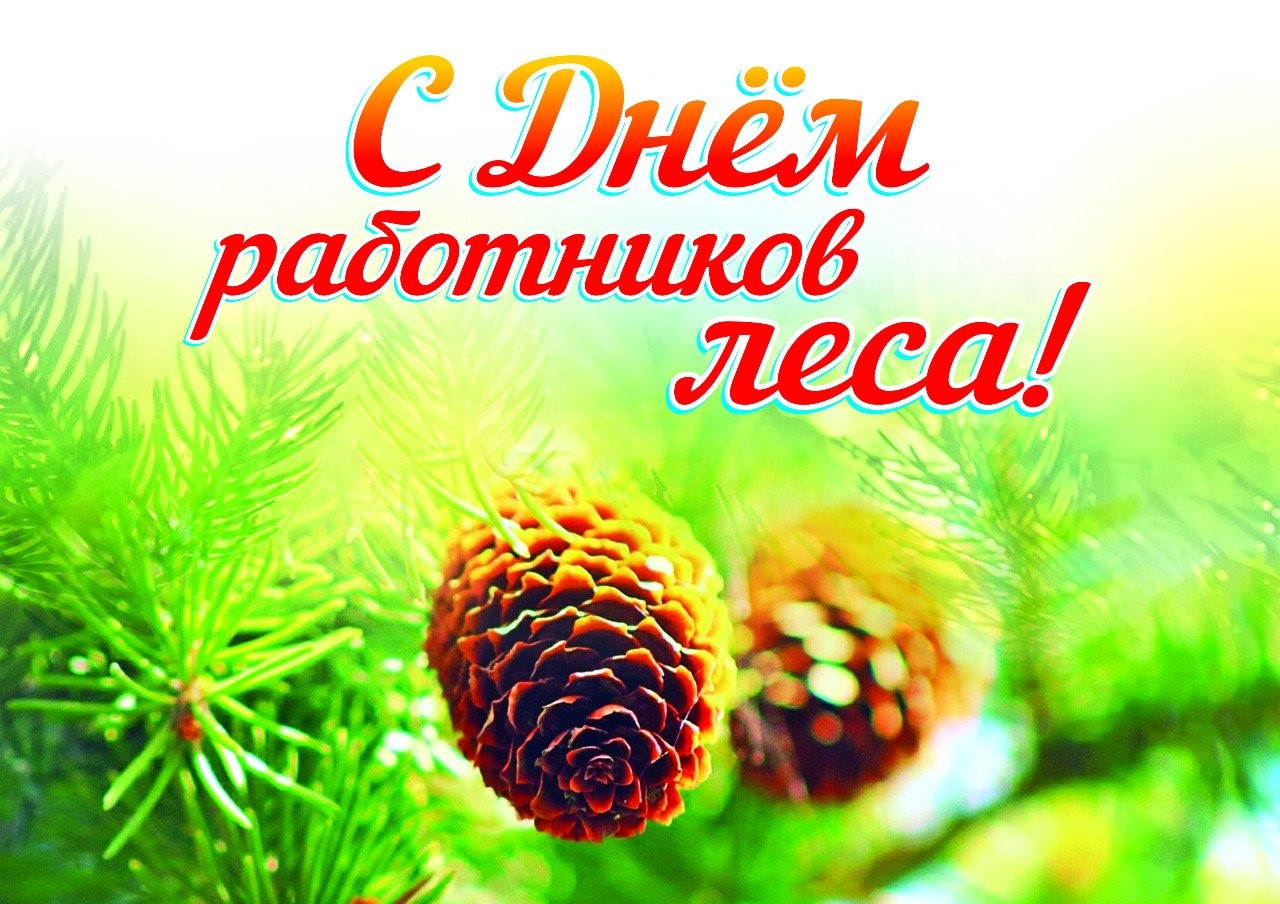 лесных223
