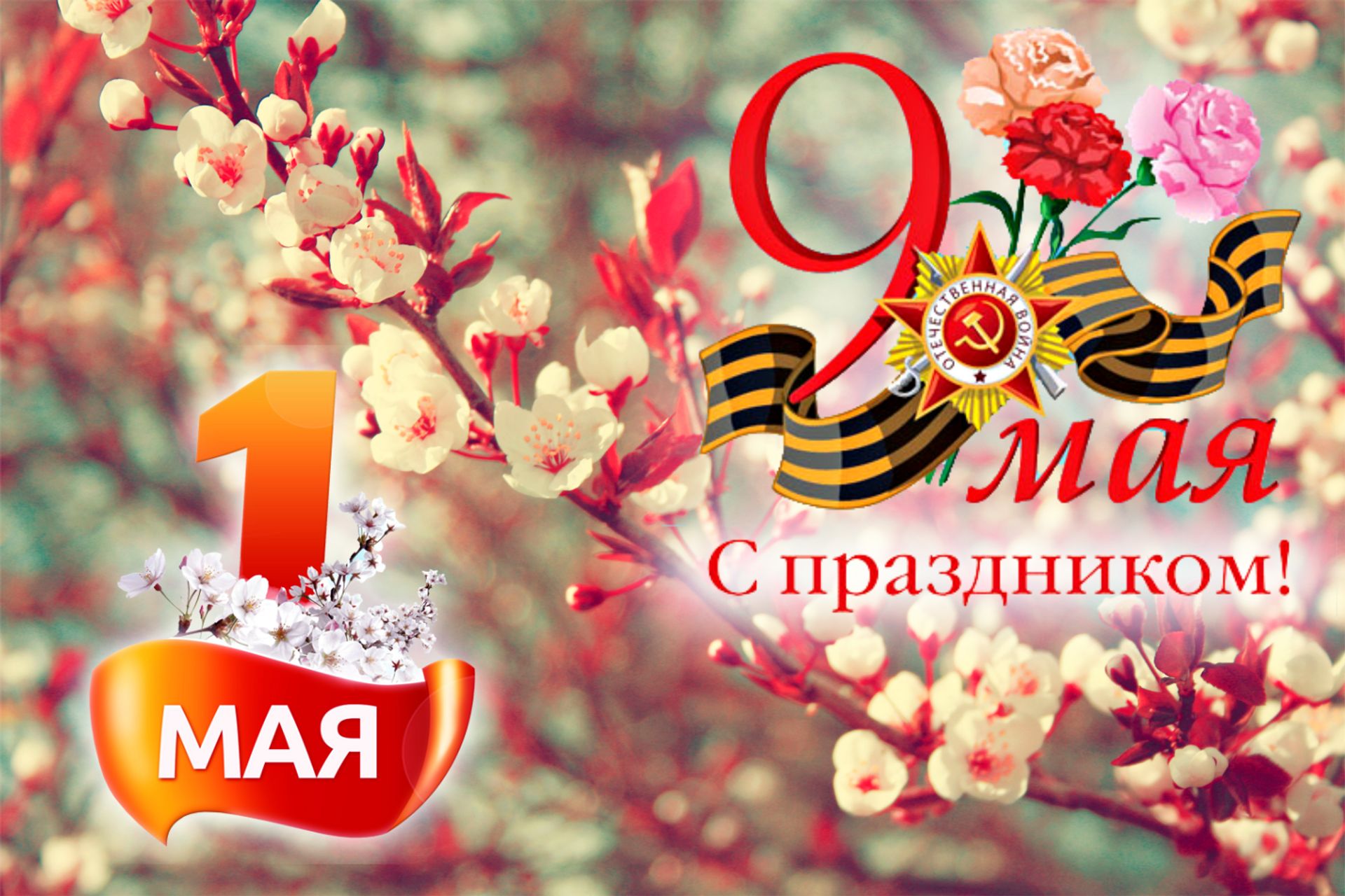 с майскими праздниками