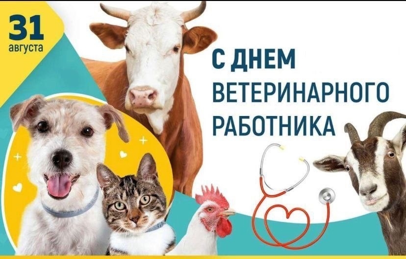 фото ет раб к